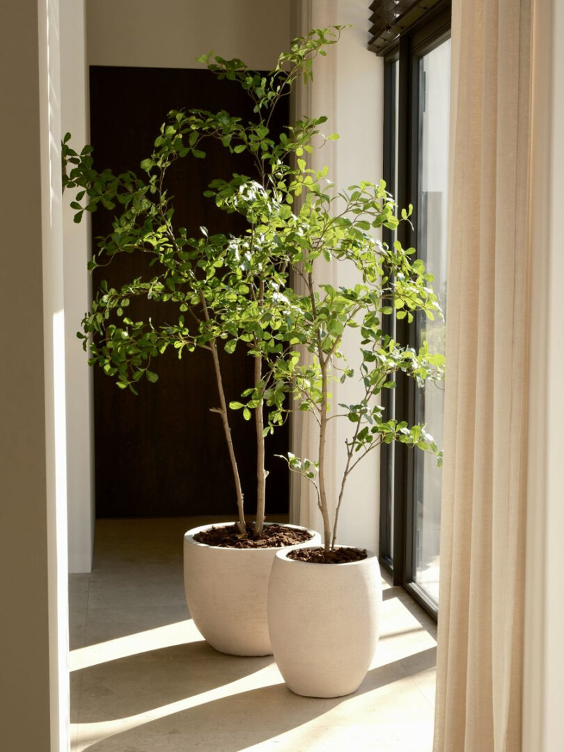 Moringa kunstboom 150 cm