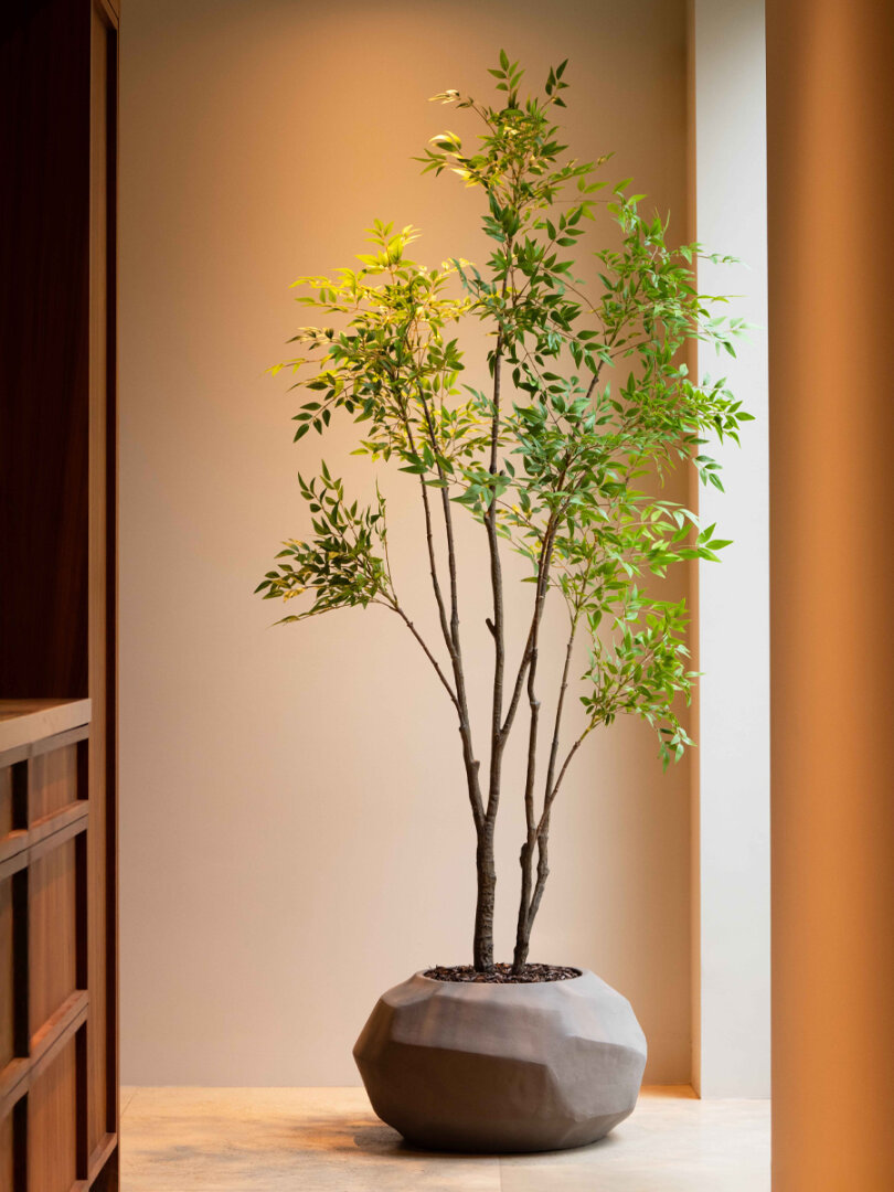 Nandina kunstboom 210 cm